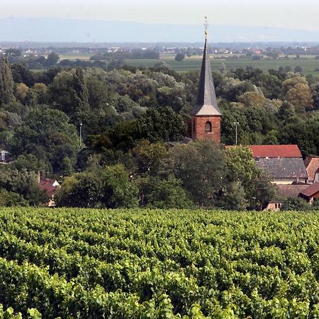 Weinstube Schwarzamsel Appartement Speyer Buitenkant foto