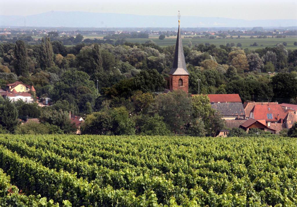 Weinstube Schwarzamsel Appartement Speyer Buitenkant foto