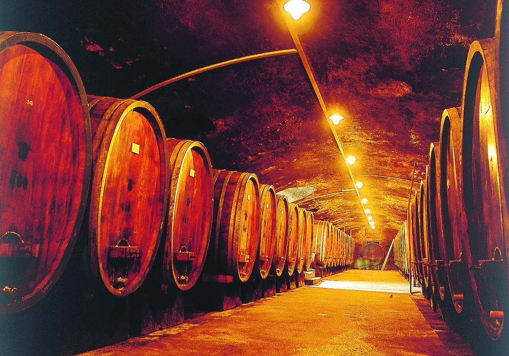 Weinstube Schwarzamsel Appartement Speyer Buitenkant foto
