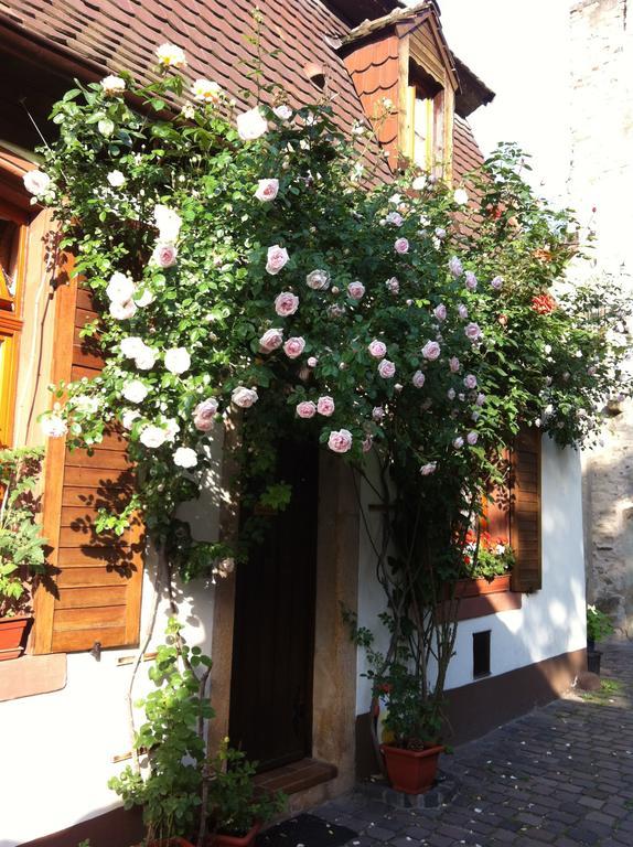 Weinstube Schwarzamsel Appartement Speyer Buitenkant foto