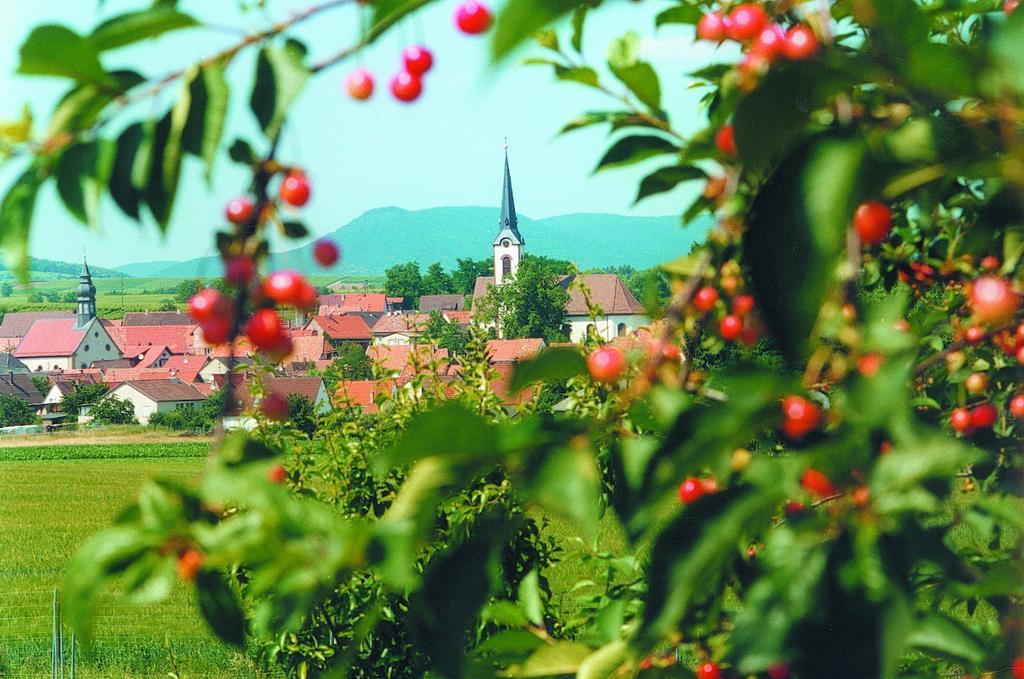 Weinstube Schwarzamsel Appartement Speyer Buitenkant foto